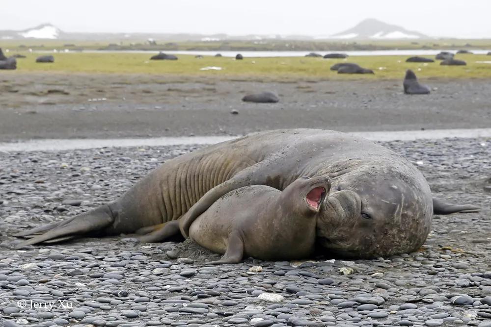 情人节,就该和爱的人*爱做**做的事