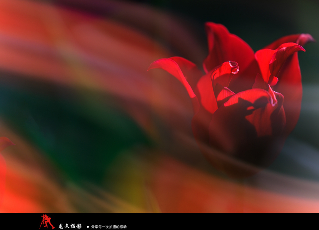 灏煎悍澶氶噸鏇濆厜鏁欑▼,浣宠兘澶氶噸鏇濆厜鏁欑▼