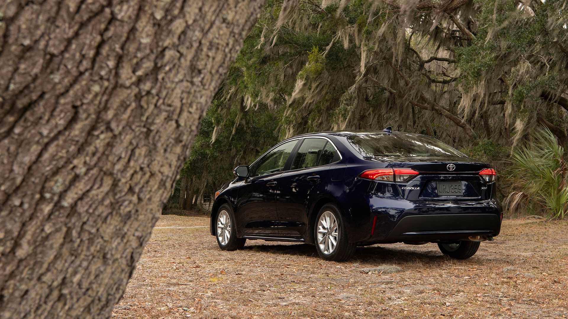 信心爆棚,丰田美国版本卡罗拉