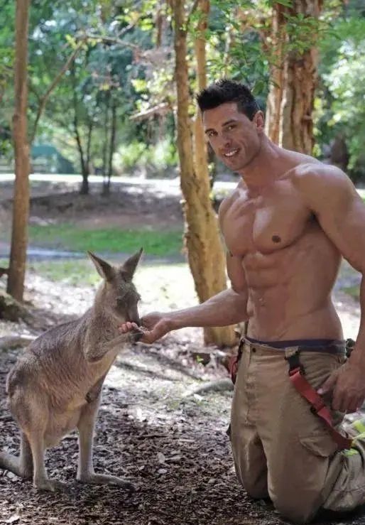 澳大利亚慈善消防员,澳大利亚消防员拯救动物