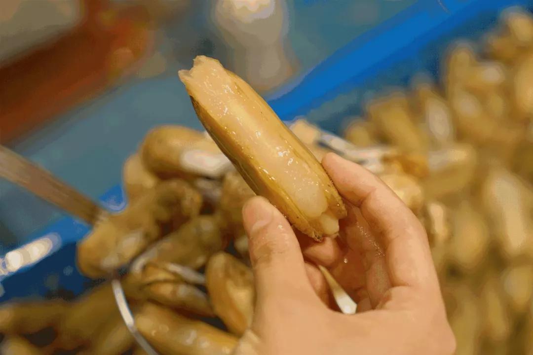 四月蛏肥美莫负西施舌,三月适合吃的海鲜蛏子