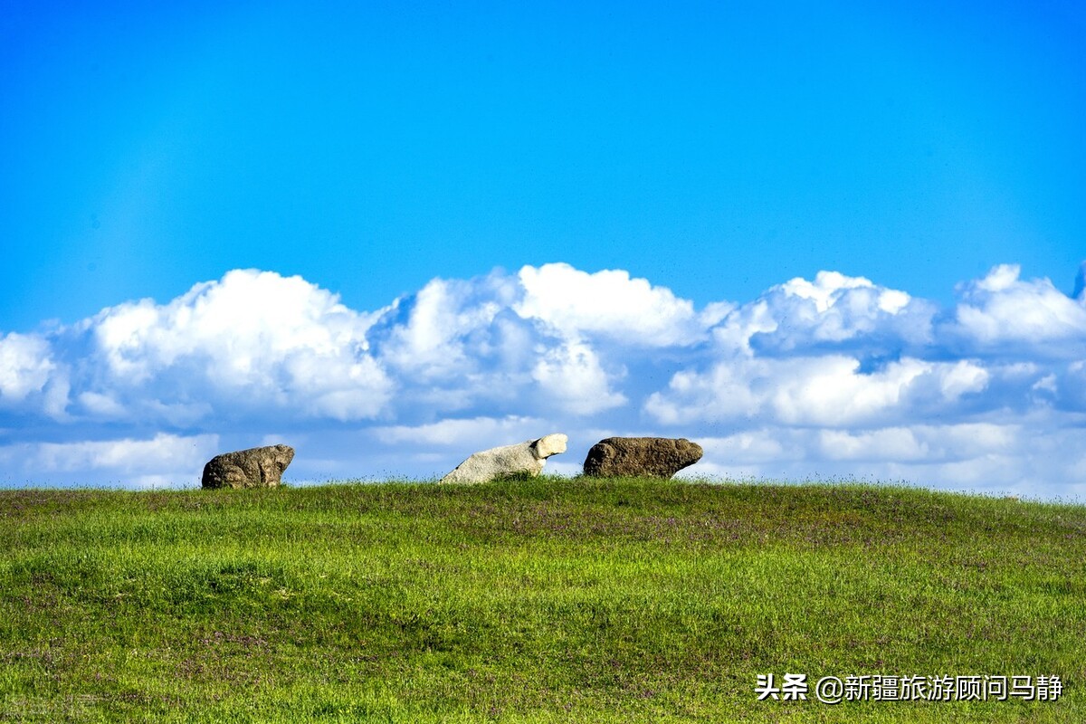 南京禄口机场疫情波及多地乌市：江苏、沈阳、中山来乌人员需隔离