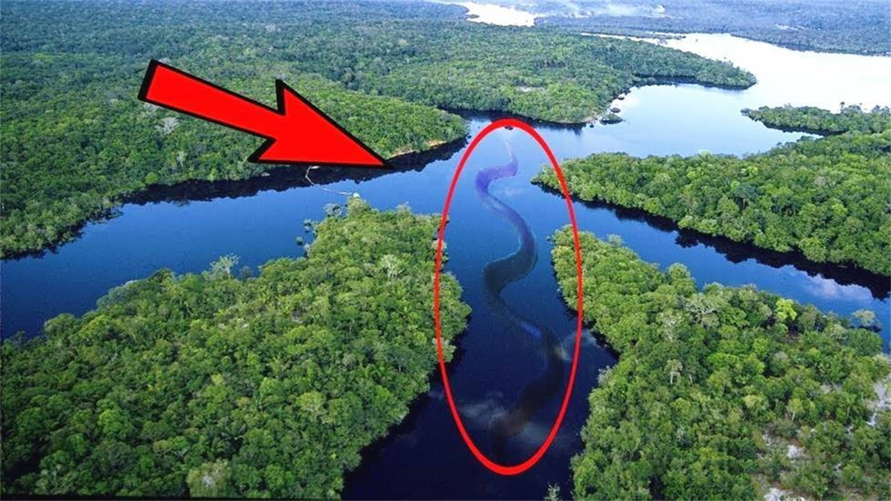 亚马逊河与长江相比厉害在哪？为什么说它可怕，没人敢下河游泳？