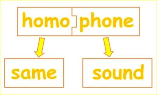 英语同音异义词归纳,英语中常见的同音词