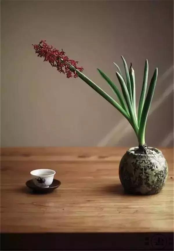 别让不好意思害了你,别让不好意思害了你全文