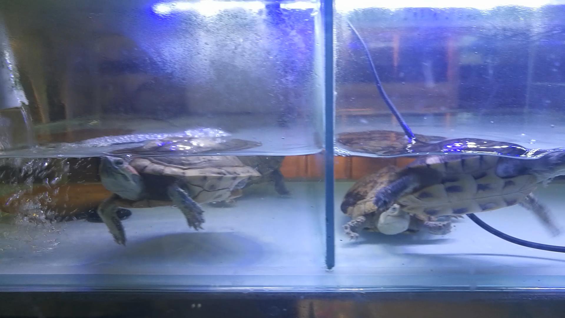 北京官园批发市场搬迁到哪里了,北京官园市场搬迁到哪里