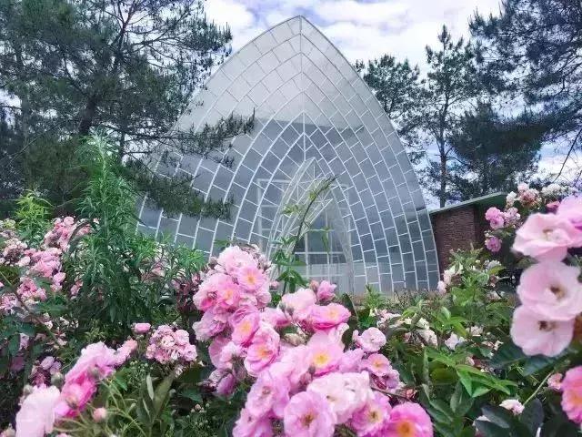 始兴市区游玩攻略,韶关始兴县旅游攻略