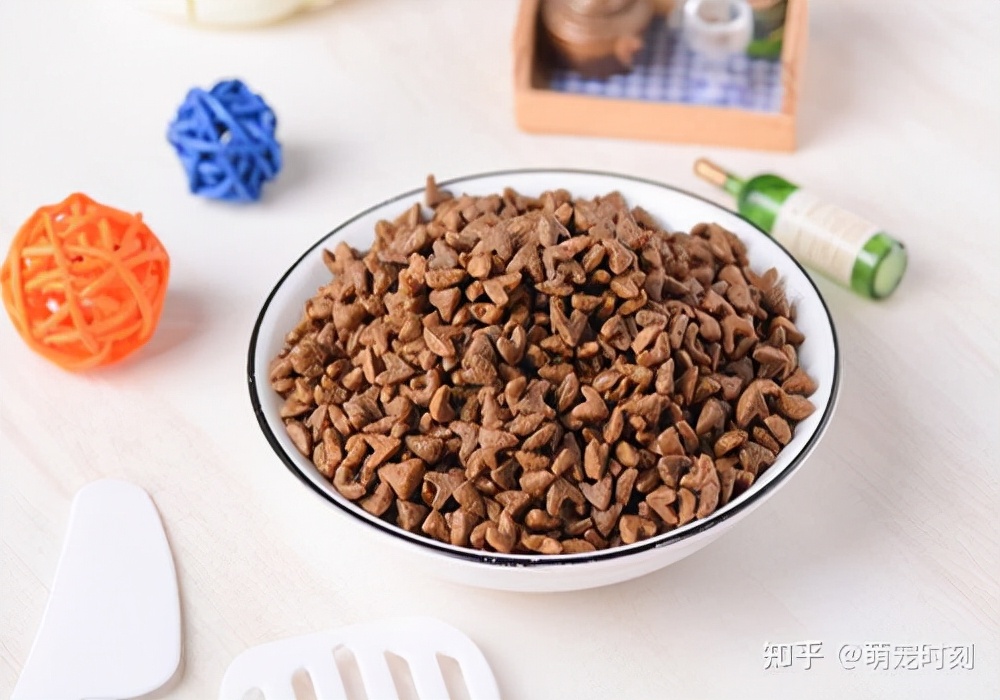 狗狗挑食不吃饭怎么办,狗狗吃饭挑食