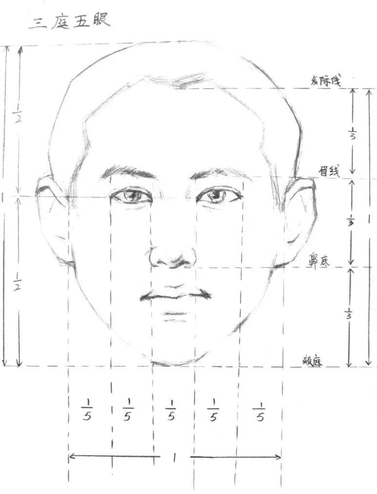 素描头像画不像的七种错误,静物素描形体不准怎么办