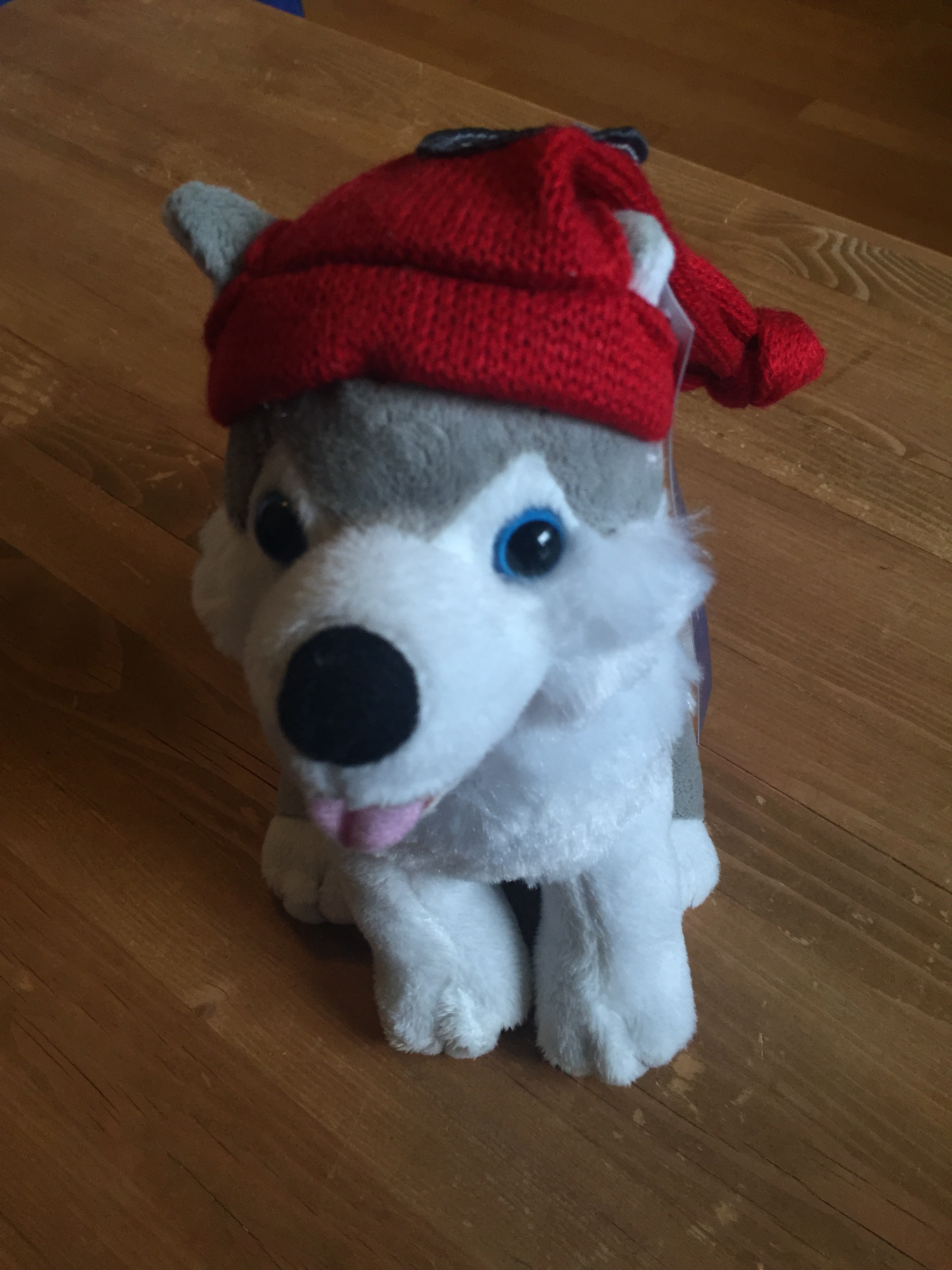 北欧20日游-D14.2-芬兰拉普兰