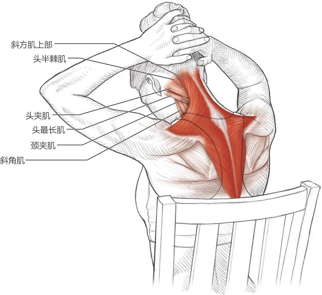 学舞蹈不会扭,学舞蹈不会基本功怎么办