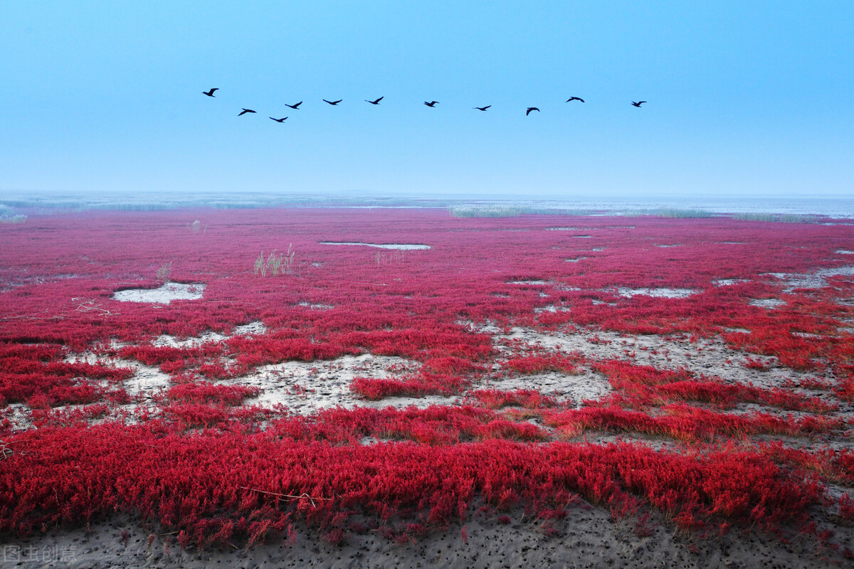 辽宁冷知识攻略,辽宁朝阳冷知识