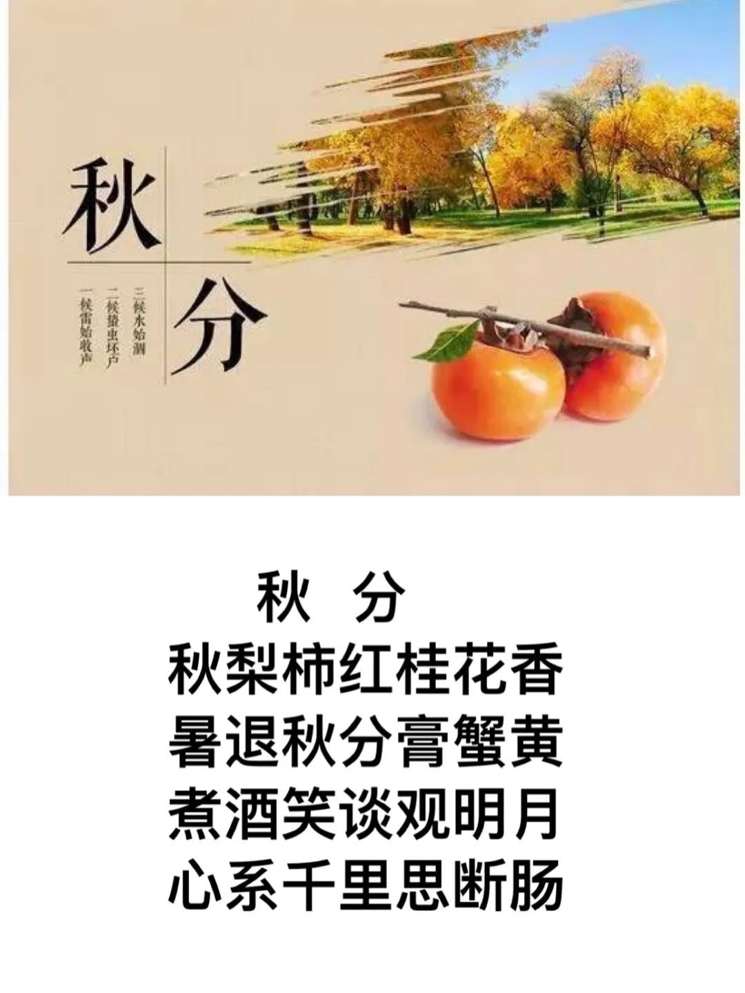 细细金风仲秋至，霜打披红几多情。今日秋分