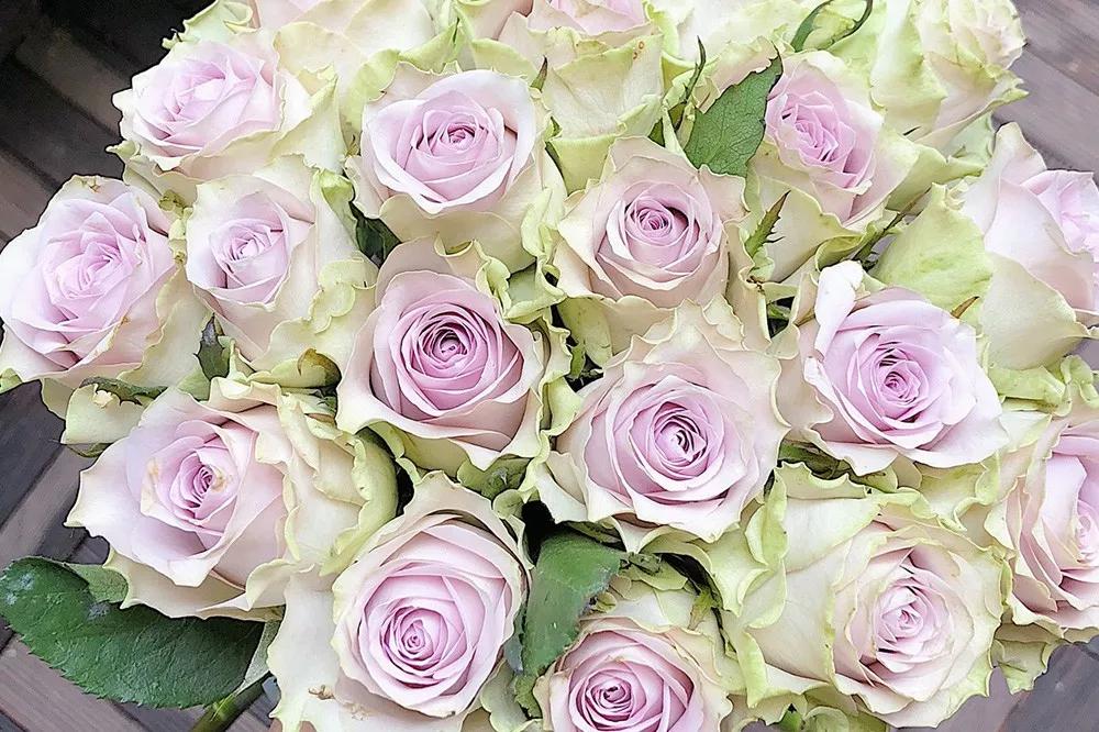 花店必备的5款玫瑰,花店常用的10款玫瑰花是哪些品种