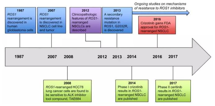ros1基因融合治疗肺癌,ros1融合型肺癌