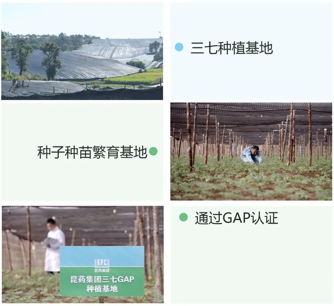 云南昆药集团简介,昆药集团公司简介