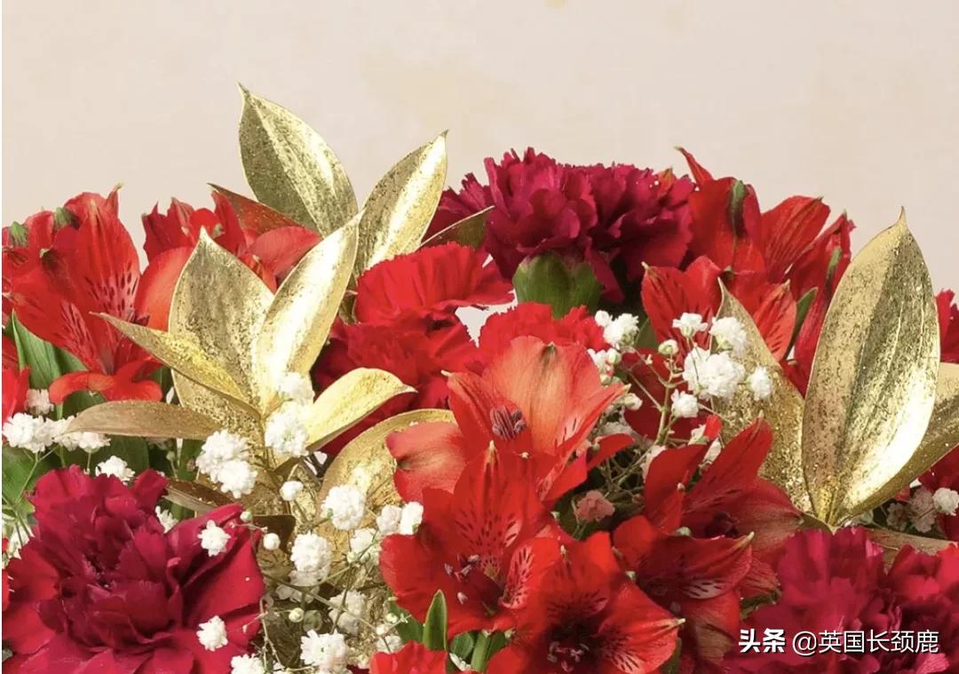 情人节来了怎么少的了fafa？英国鲜花速递服务大盘点：浪漫满分