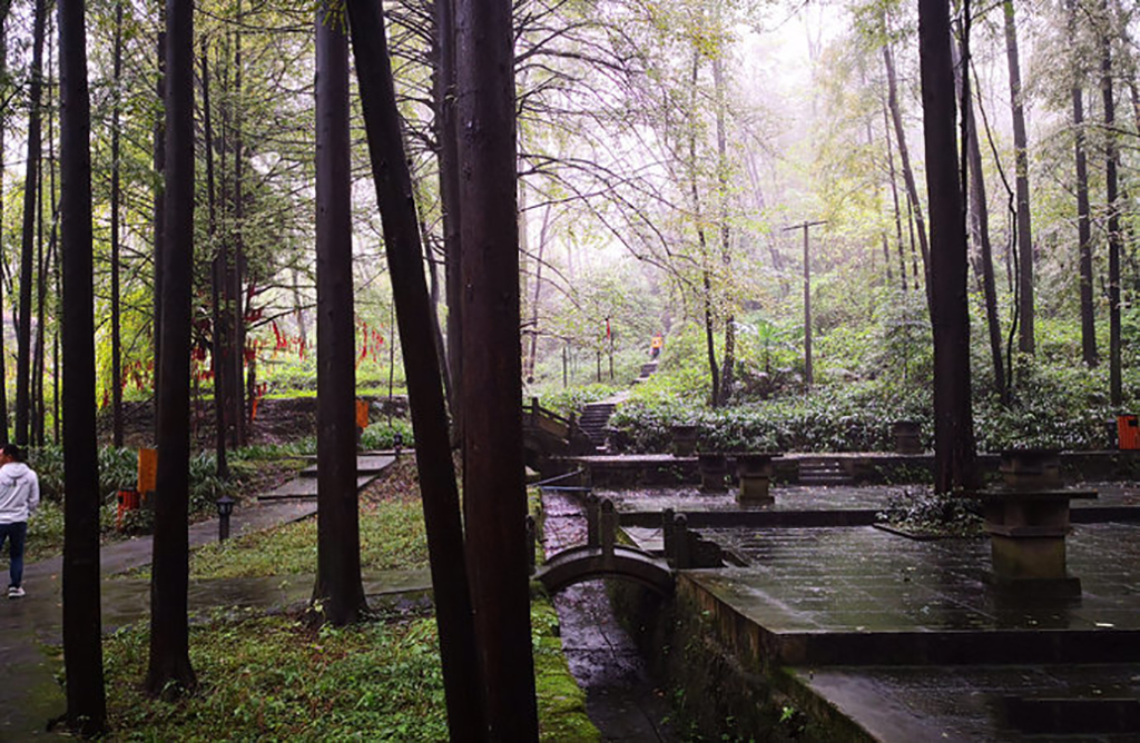 隐于成都闹市的小众古刹,成都最值得去的古寺