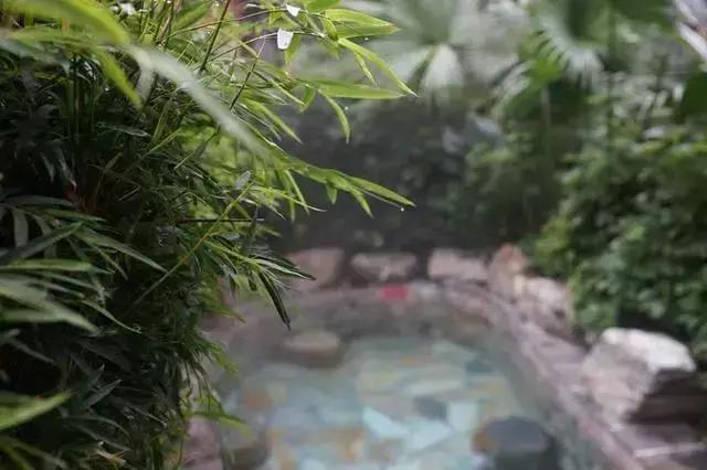 武汉泡温泉地方,武汉泡温泉哪里值得推荐