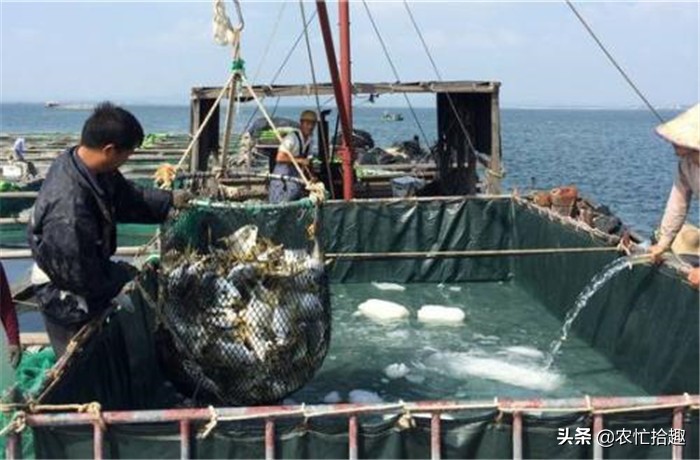5鏈堟贰姘撮奔浠锋牸涓婃定鍘熷洜,浠婂勾鍥涘ぇ瀹堕奔浠锋牸浣庤糠鍘熷洜