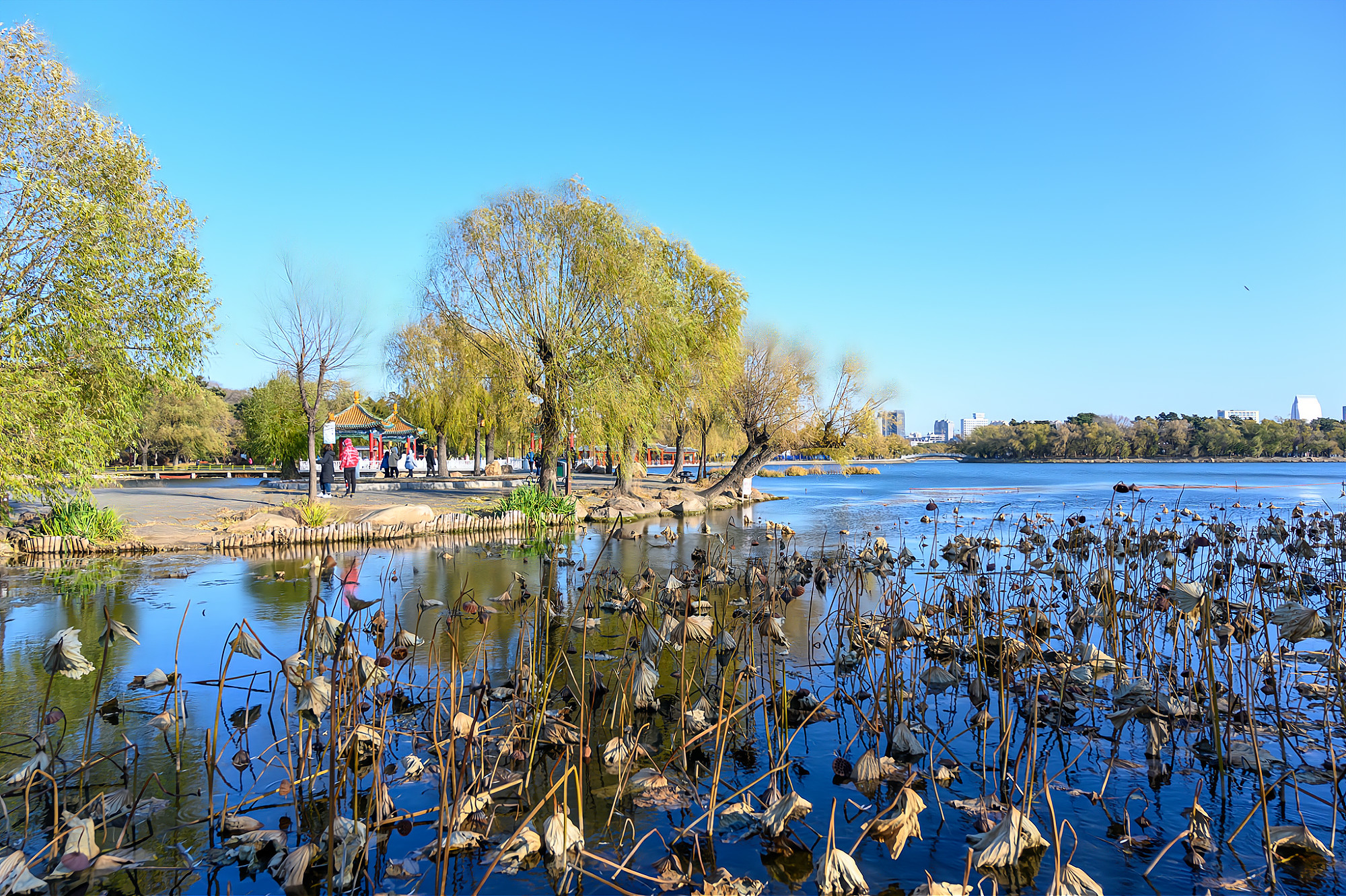 长春南湖公园景观简介,长春南湖公园都有哪些美景