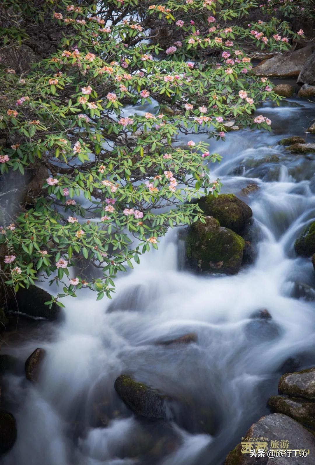 西藏昌都最好玩的是哪个景点,昌都必去十大景点排名
