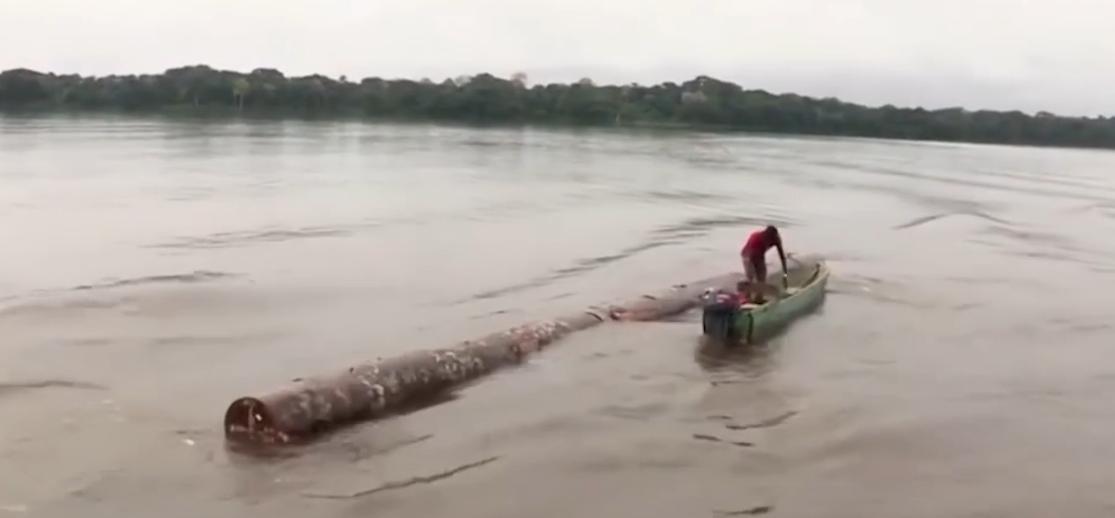 纪录片：太危险！非洲人工原木运输月薪5000元，重卡司机却是一万