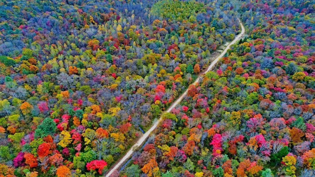 林业生态旅游科普,林草科普
