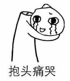 鐣欏閯欒閾句箣瀛︽牎鎺掑悕,琚鐢熷潙鎯ㄧ殑澶у