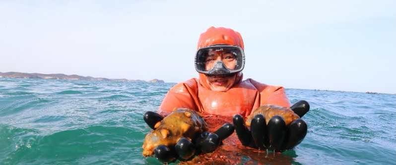 大连海参哥姚建国访谈,辽参海参哥姚建国