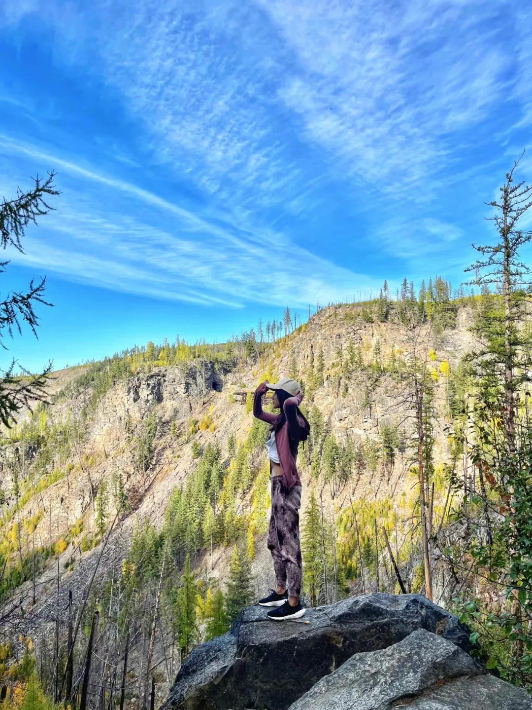 许婧的生活现状,艾小羊往后余生