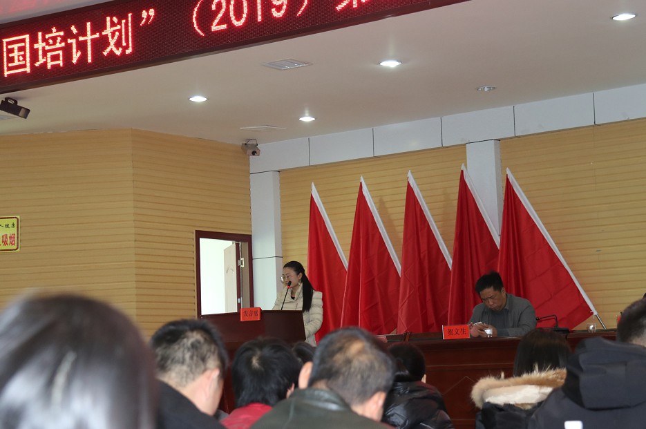 耒阳市2024年国培计划,国培计划送教下乡总结反思