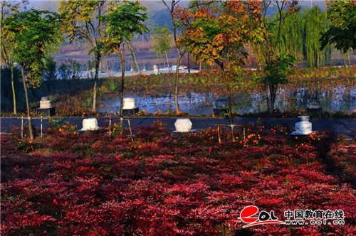 南京师范大学中北学院体育舞蹈课,南京师范大学中北学院音乐表演