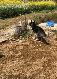 网上买的连衣裙到货了，店家连夜打电话跪求删除好评照片太尴尬了