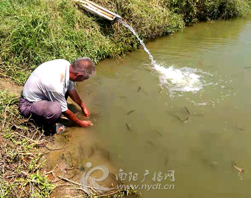 南召县白土岗镇村庄改造,农村坑塘改造成公园