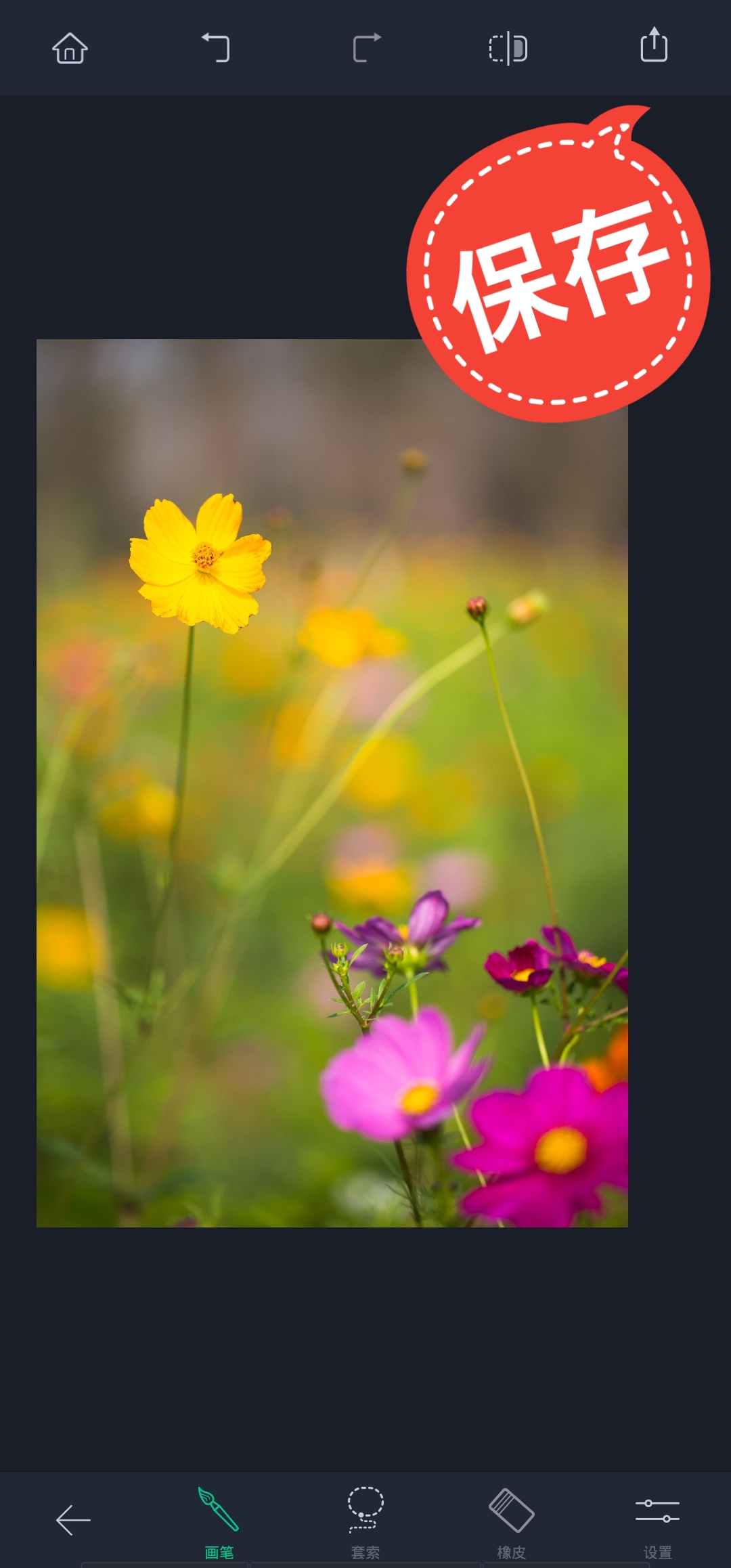 用什么软件可以去掉照片水印,哪个软件可以消除照片上的水印