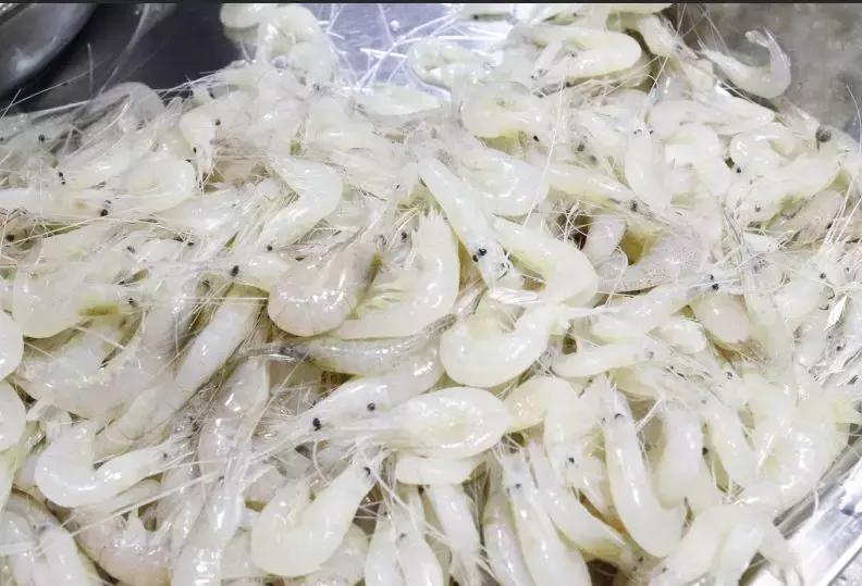 合肥菜价查询最新蔬菜价格表,今日菜价安徽合肥