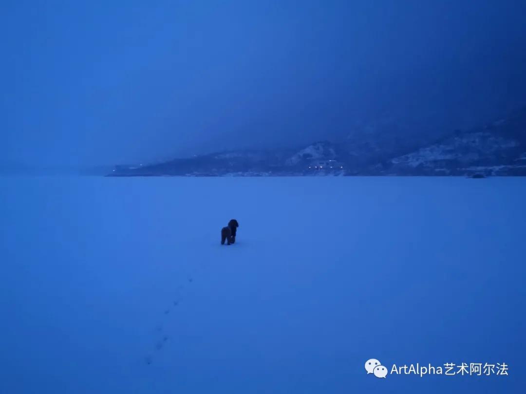贾廷峰作品,贾廷峰水墨作品