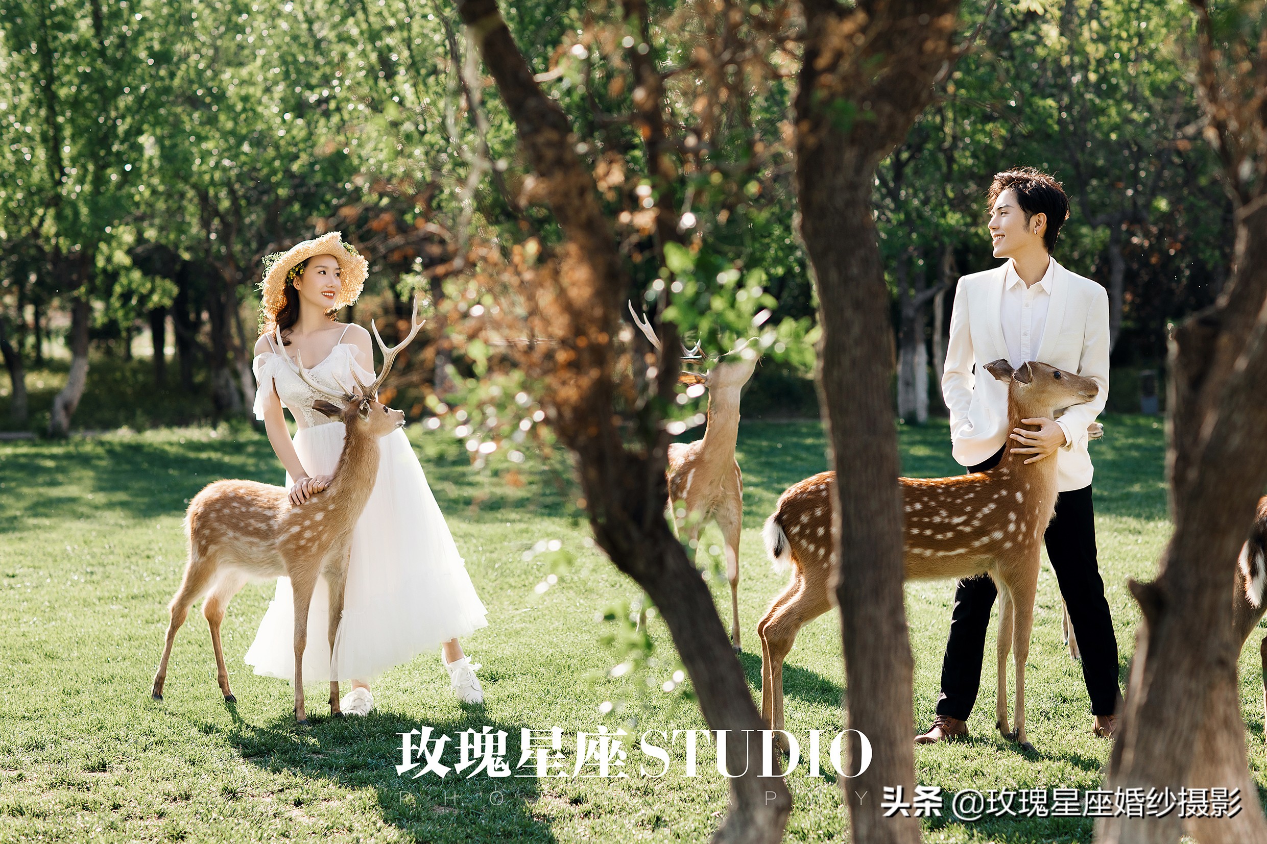 婚纱照必拍的9种风格,韩式小清新可爱俏皮室内婚纱照