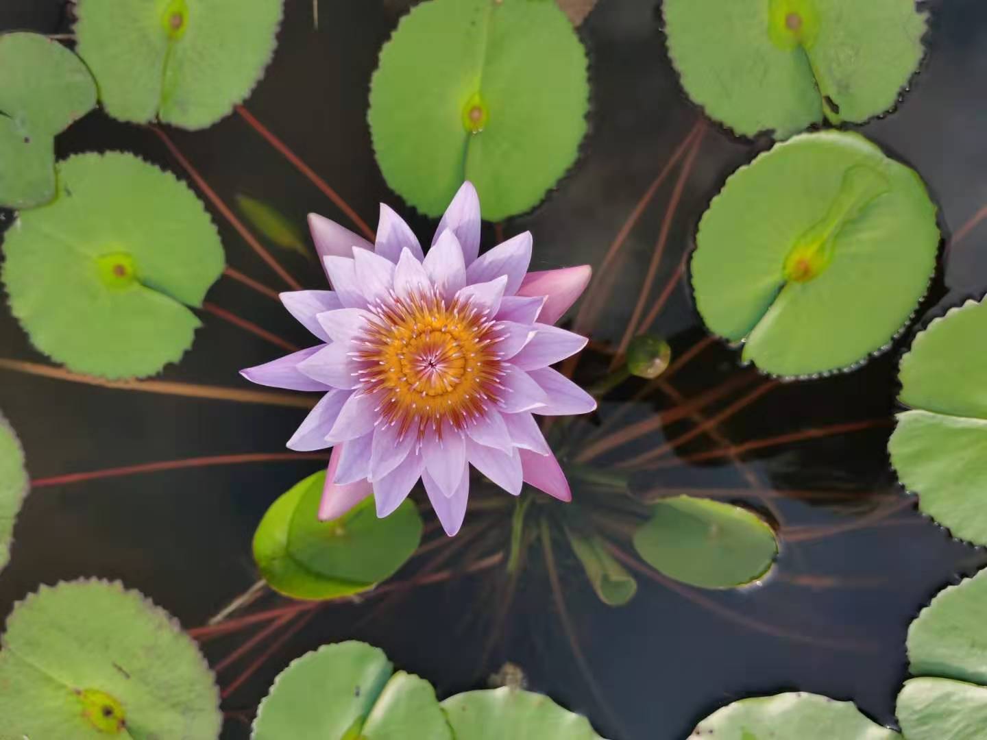 代持股协议是否有法律效力,对代持股协议的最新法律规定