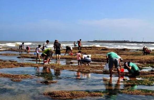 适合熬粥的海货,海鲜干海鲜粥