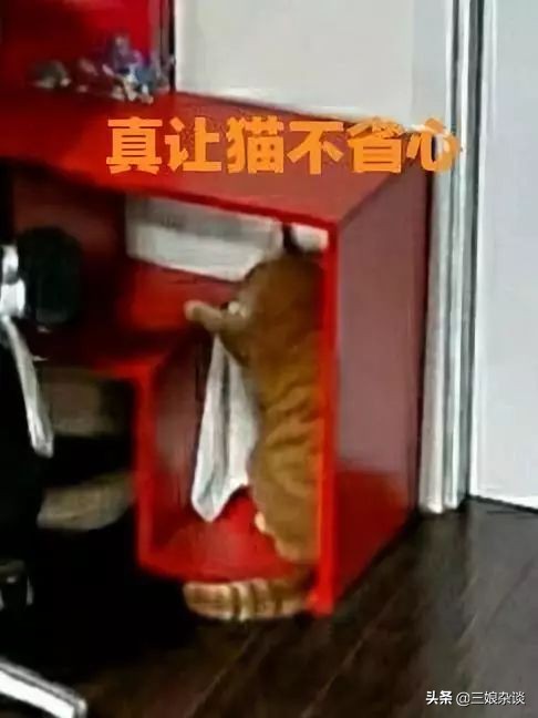 真的服了！北京2154万人口，我打个车都能拼到前男友……