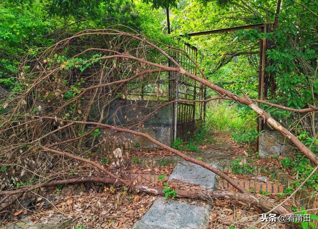 莆田快乐农庄以前的样子,莆田快乐农庄建什么