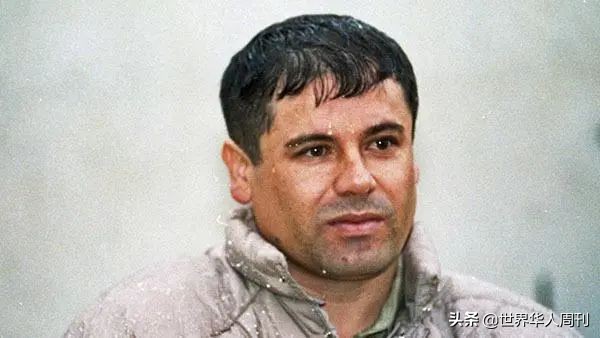 从天才到毒枭,从天才ceo到国际通缉犯