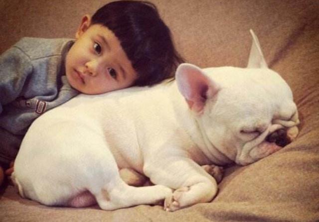 如何培养狗狗和孩子的亲和力,如何训练狗狗与孩子相处