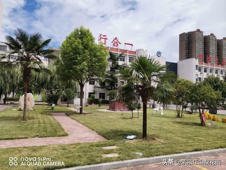 夏蝉长鸣传喜讯镇中给您报佳绩