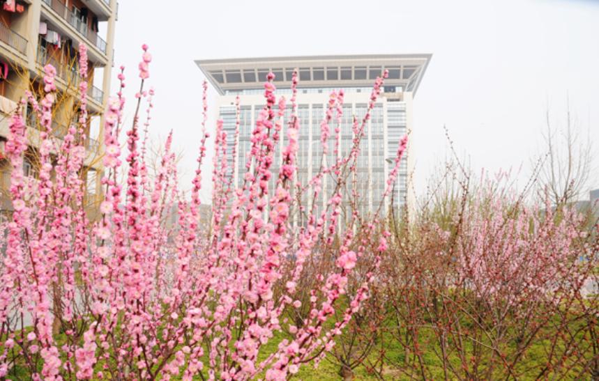 最好的五所二本大学,二本院校最有实力的40所大学