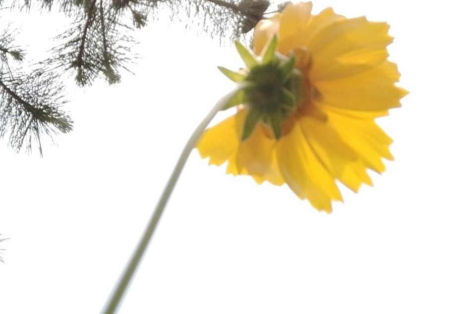 腰间盘突出是风水问题吗,腰间盘突出跟哪里风水有关