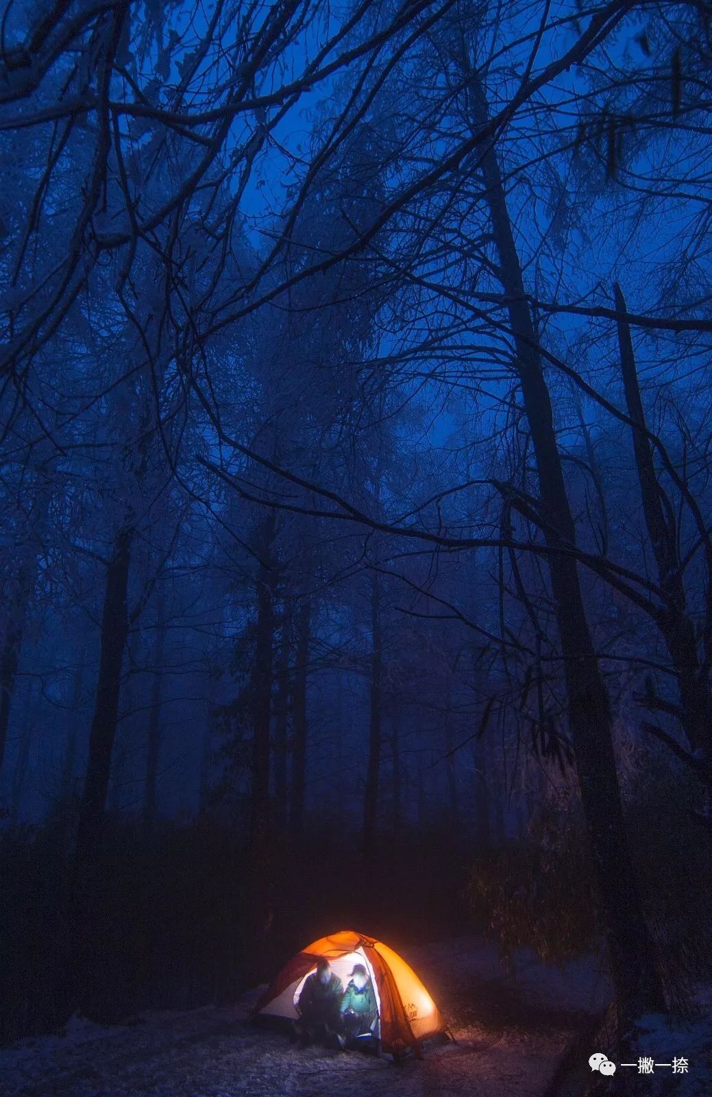 人民日报40年老照片全部,人民日报高质量短片