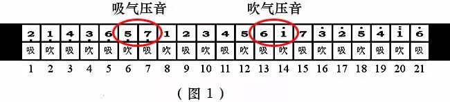 怎么能学会10孔口琴压音,24孔口琴压音教学